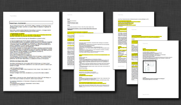 Der ausführliche Fragebogen als Grundlage für die Konzeptpräsentation